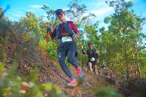 BIB: 
                            <button type="button" onclick="openModal(21836131)" class="btn btn-primary btn-sm float-right btn-popup" data-toggle="modal" data-target=".modal-high-quality">
                        <i class="fas fa-shopping-cart"></i> Add to Cart
                    </button>
                                            <button type="button" onclick="isThisMe(21836131, true)" class="btn btn-success btn-sm float-right btn-popup btn-isme hidden" data-toggle="tooltip" data-placement="bottom" title="นี่คือรูปของคุณใช่ไหม คลิกที่นี่เพื่อเอาเข้าอัลบั้ม">
                        <i class="fas fa-plus"></i> Add to album
                    </button>
                    <button type="button" onclick="isThisMe(21836131, false)" class="btn btn-warning btn-sm float-right btn-popup btn-isnotme hidden">
                        <i class="fas fa-ban"></i> Remove from album
                    </button>